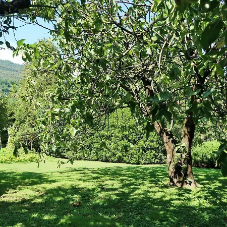 Appartamento Locazione Turistica Vittoria Dongo